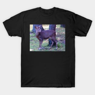 Deer T-Shirt